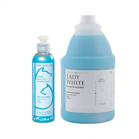 Lady White Shampoo von LadyBel