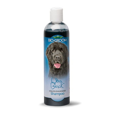 Shampooing Ultra Black, Bio-Groom 355 ml