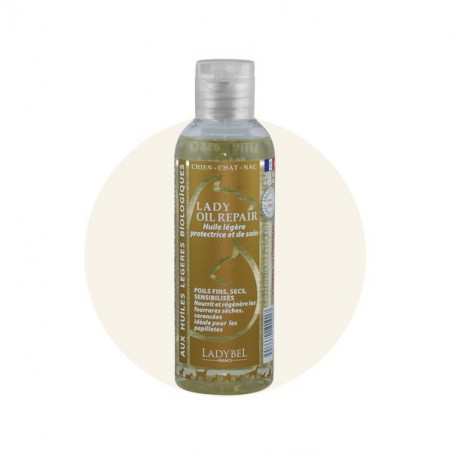 Lady Oil Repair by Ladybel