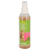 Spray pour jeu CatNip aux extraits de Menthe