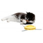 Kerbl, Jouet pour chat 2 en 1 Catch the TailFeather Kerbl, Jouet pour chat 2 en 1 Catch the TailFeather