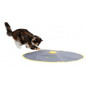 Kerbl, Jouet pour chat 2 en 1 Catch the TailFeather Kerbl, Jouet pour chat 2 en 1 Catch the TailFeather