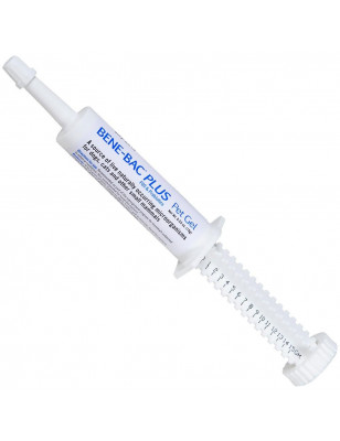 PetAg, Bene-Bac plus, pet gel, 15g syringe