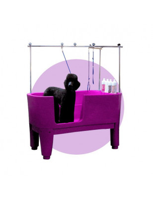 Baignoire Grand Modèle Sur Pied Violette