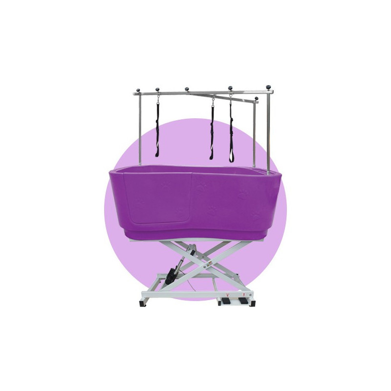 Large Model Bathtub On Purple Chassis