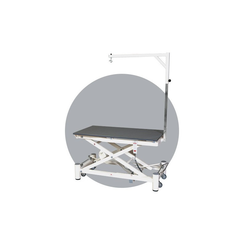 Stabilo Elite electric table
