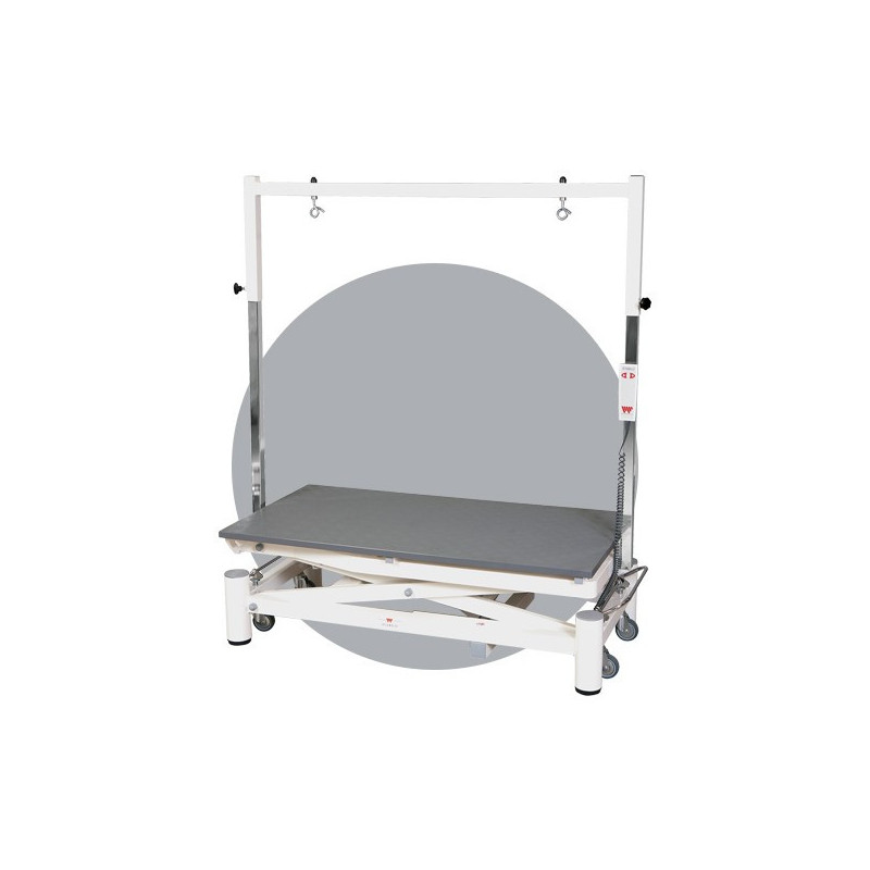Table électrique Stabilo Elite