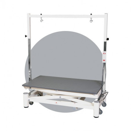 Table électrique Stabilo Elite