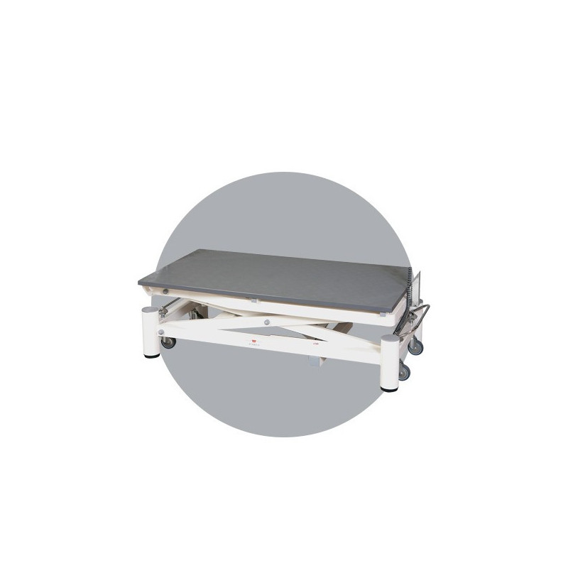 Stabilo Elite electric table