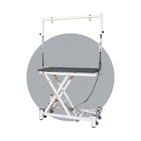 Stabilo Elite electric table