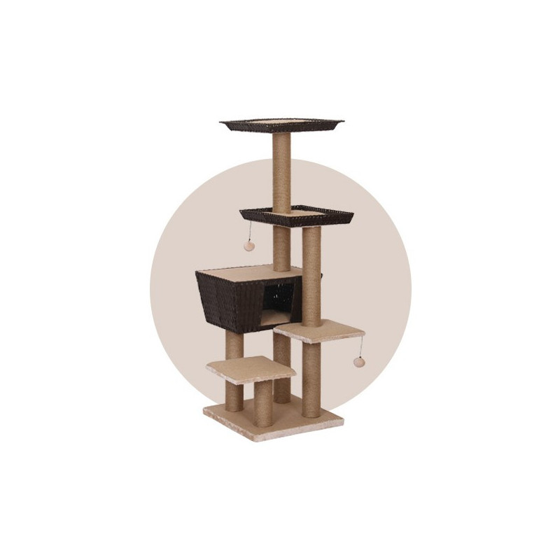Árbol del gato salmantino Árbol del gato salmantino