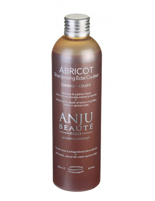 Shampooing Abricot Anju Beauté