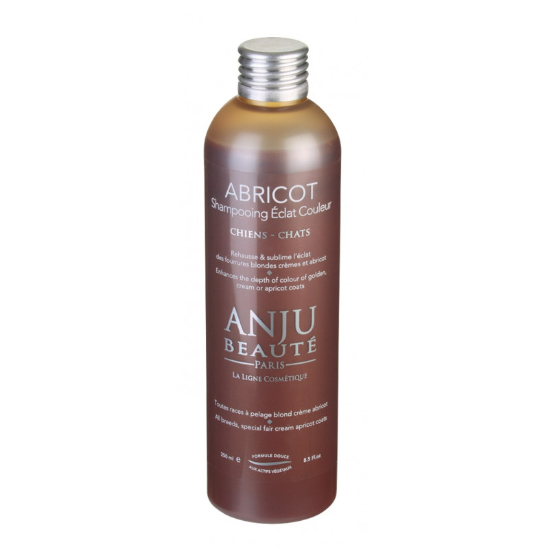 Shampooing Abricot Anju Beauté