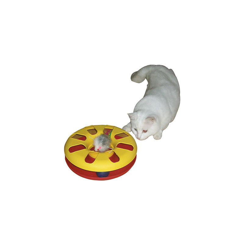 Racing Kettie Toy Cat Track Juego