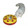 Racing Kettie Toy Cat Track Game