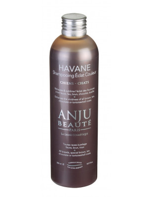 Shampooing Havane Anju Beauté rehausseur de couleur