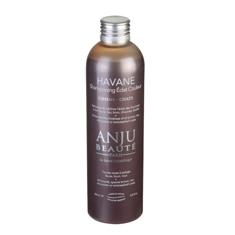 Shampooing Havane Anju Beauté rehausseur de couleur Shampooing Havane Anju Beauté rehausseur de couleur