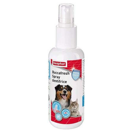 Beaphar, Spray-Zahnpasta für Hunde und Katzen, 150 ml