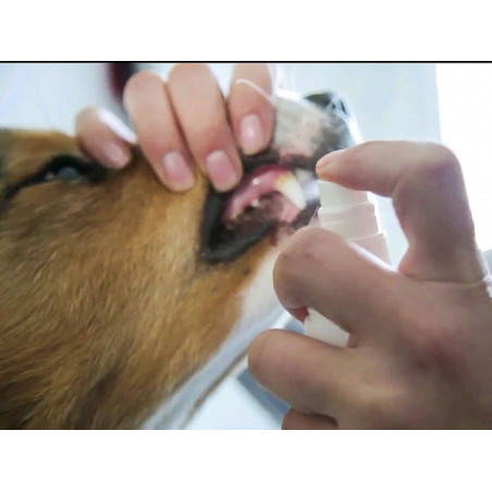 Beaphar, Spray toothpaste for dogs and cats, 150 ml