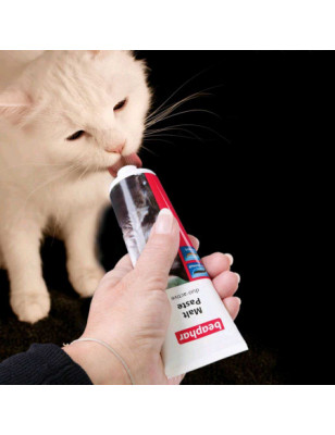 Beaphar, Special kitten growth paste