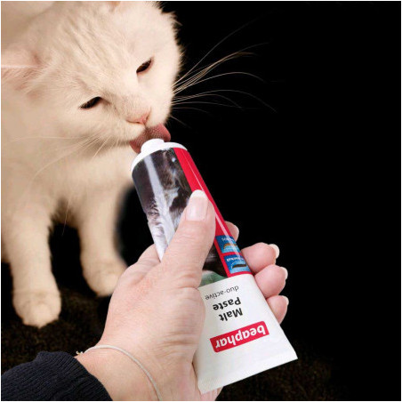 Beaphar, Special kitten growth paste