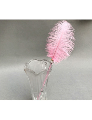 Ostrich feather duster