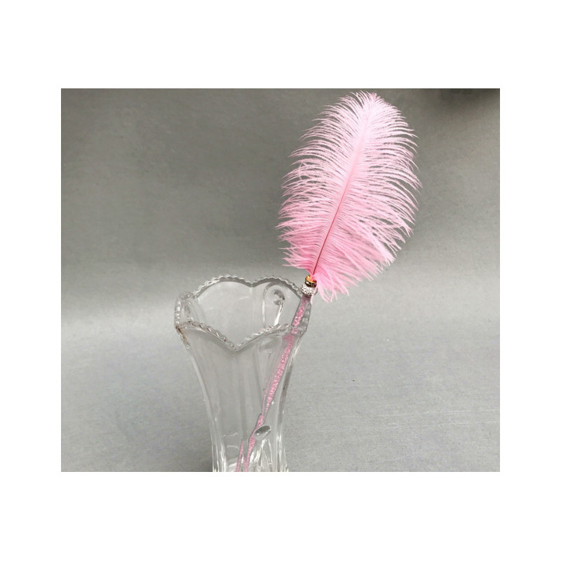 Ostrich feather duster