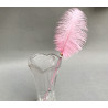 Ostrich feather duster