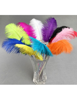 Ostrich feather duster