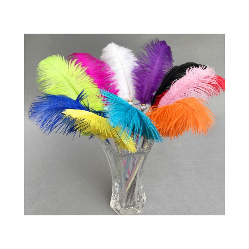 Ostrich feather duster