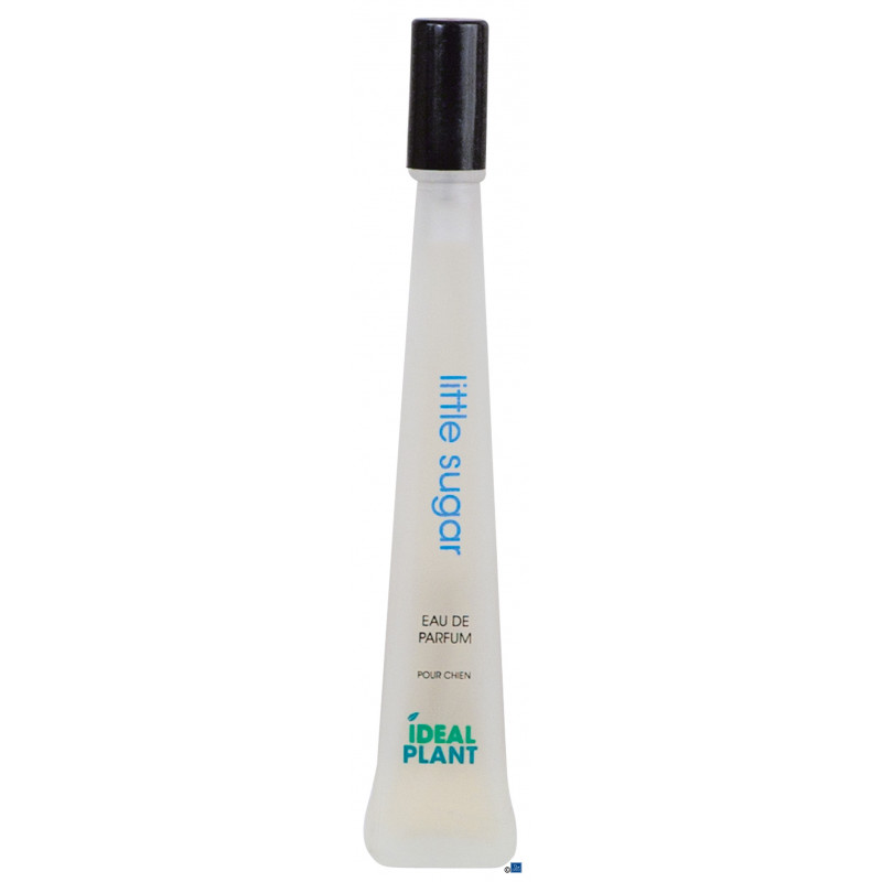 Parfum Little Sugar Parfum Little Sugar