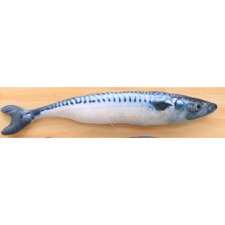 doudou sardine pour chat