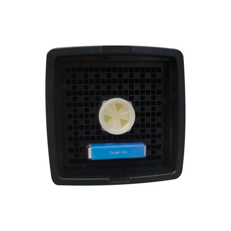 Cabine de Séchage double Phœnix