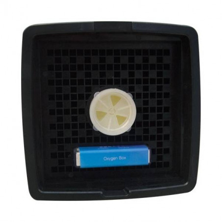 Cabine de Séchage double Phœnix