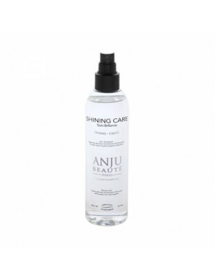 Shining care Anju beauté