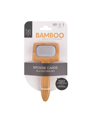 Carde bambou