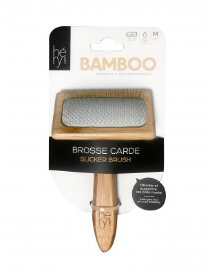 carda di bambù