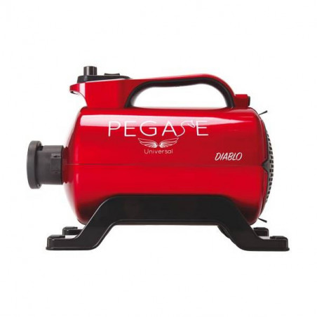 Diablo 2800 Watt tragbarer Gebläsetrockner