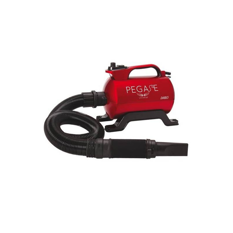 Diablo 2800 Watt tragbarer Gebläsetrockner Diablo 2800 Watt tragbarer Gebläsetrockner