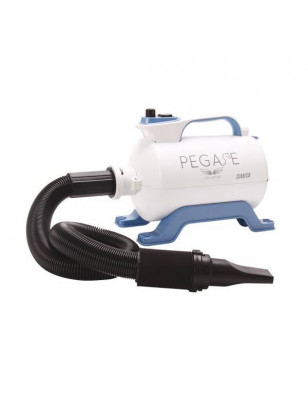 Santa portable blow dryer...