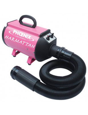 Harmattan Rose Portable Pulse Dryer