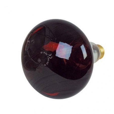 bombilla infrarroja 250w