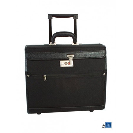 Black grooming case
