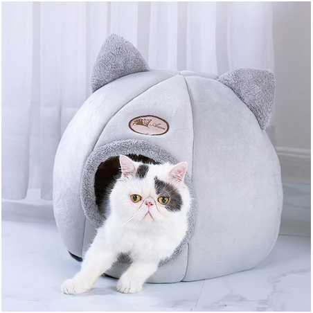 Coussin Chat Chaud