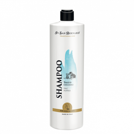 Iv San Bernard, Talkum-Shampoo