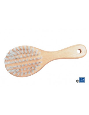 Brosse lustrante pour Chat