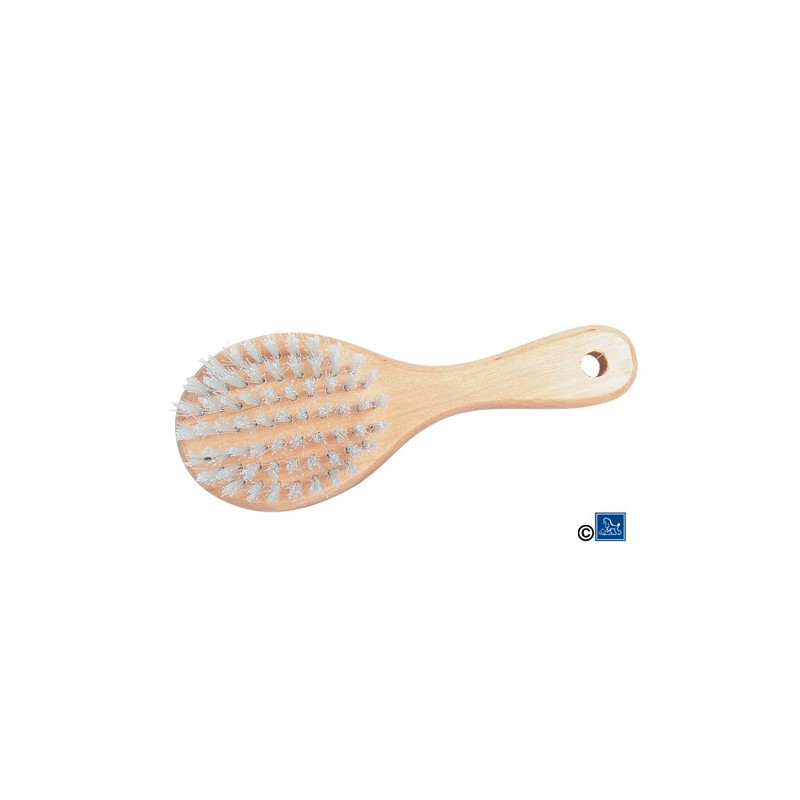 Brosse lustrante pour Chat