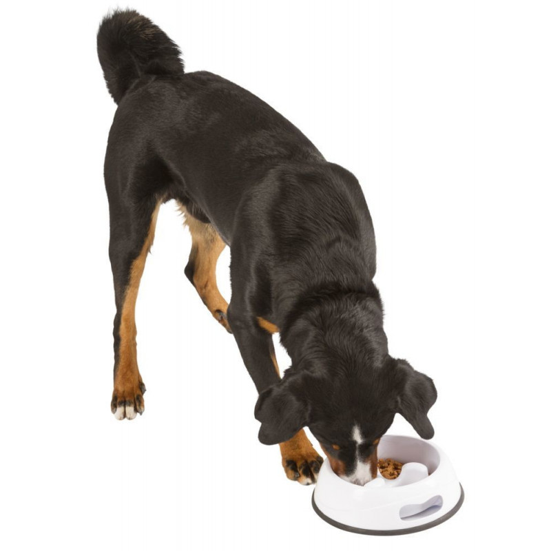 Anti-Dribbling Plastic Bowl
