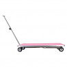 Single Gallows Folding Table with Wheels Pink