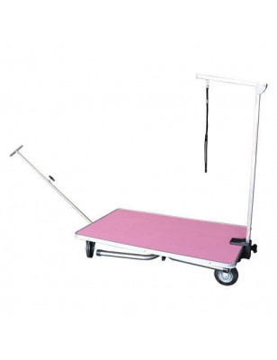 Tavolo pieghevole singolo patibolo con ruote rosa
